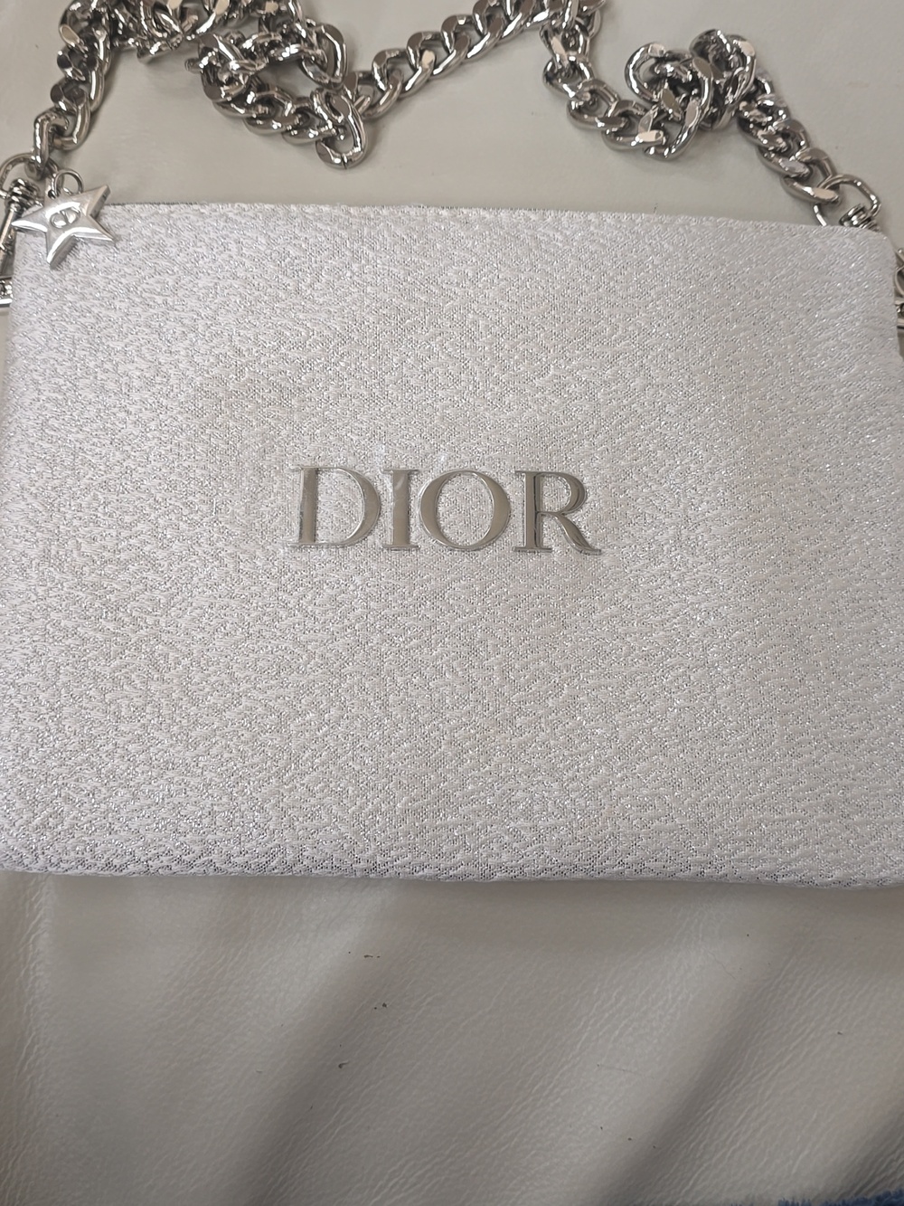 Dior Metallic White-Gold Chain Shoulder Pouch